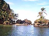 На острове, куда забросят участников "Последнего героя" водятся только ботропсы, скорпионы, коралловые аспиды и мыши-вампиры