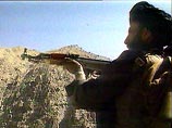 В Афганистане убит один из приближенных Усамы бен Ладена 