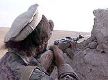 Еще около 100 чеченцев, воевавших на стороне талибов, взяты в плен