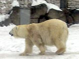 В Московском зоопарке наступил "зимний сезон"