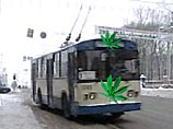 Водителя троллейбуса уличили в торговле марихуаной