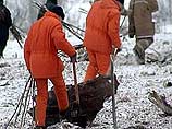 На месте катастрофы самолета ИЛ-76, разбившегося вблизи поселка Иня, уже найдены два "черных ящика" На месте катастрофы самолета ИЛ-76, разбившегося вблизи поселка Иня, уже найдены два "черных ящика"