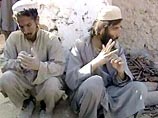В Афганистане задержаны американские граждане, воевавшие на стороне талибов