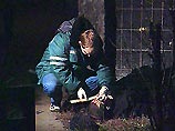 Около 16.00 5-го ноября на улице Маршала Катукова двое неизвестных расстреляли мужчину, после чего скрылись/ Около 16.00 5-го ноября на улице Маршала Катукова двое неизвестных расстреляли мужчину, после чего скрылись/