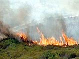 Американцы подожгли лес в Тора-Боре, где скрывается бен Ладен
