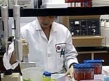 В биолого-химических лабораториях Пентагона в штате Юта с 1992 года в рамках секретного проекта выращивались споры сибирской язвы
