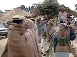 В Тора-Бора найдены 33 трупа боевиков "Аль-Каиды", в основном, это арабы и узбеки