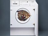 Изобретена стиральная машина для кошек и собак