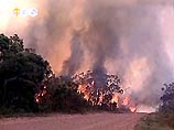 В прибрежных районах штата Новый Южный Уэльс бушуют не менее 70 лесных пожаров