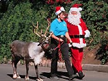 Трехлетняя девочка Сабрина Верларк была уверена, что к ней приехал Санта Клаус, когда в их дом в Северной Каролине неожиданно ворвался олень