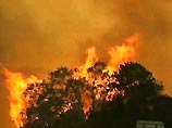 Около 150 домов сгорели в пригородах Сиднея за последние три дня