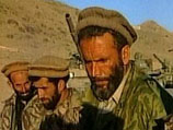 В Европе в моду вошли афганские шапки, которые носят бойцы Северного альянса