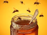 Заокеанские медики рекомендуют своим согражданам, перебравшим за праздничным столом, выпить утром чашку пчелиного меда