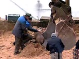 Под трибуной Олимпийского стадиона в Берлине откопали бомбу Под трибуной Олимпийского стадиона в Берлине откопали бомбу