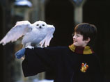 Мальчик, сыгравший Гарри Поттера, стал самым востребованным юным актером