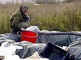 На Камчатке раскрыто дело об экоциде На Камчатке раскрыто дело об экоциде