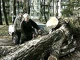 Четыре человека погибли в результате урагана в Калининградской области Четыре человека погибли в результате урагана в Калининградской области