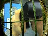 Телефонный террорист получил один год тюрьмы Телефонный террорист получил один год тюрьмы