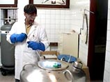 Молодая калифорнийская девушка должна встретиться с незнакомым ей отцом - мужчиной, который анонимно предоставил свою сперму ее матери, в результате чего мать забеременела Молодая калифорнийская девушка должна встретиться с незнакомым ей отцом - мужчиной, который анонимно предоставил свою сперму ее матери, в результате чего мать забеременела