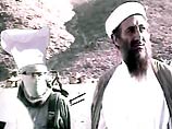 Повар Усамы бен Ладена, заявил, что его бывший хозяин искал убежища в Чечне