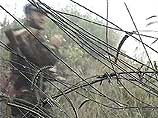 Глава службы госбезопасности Абхазии Зураб Агумава: в Панкисском ущелье скрываются 150 боевиков, бежавших из Афганистана