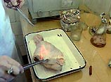 По данным Минсельхоза США, в прошлом году экспорт мяса птицы в Россию составил около $630 млн По данным Минсельхоза США, в прошлом году экспорт мяса птицы в Россию составил около $630 млн