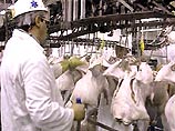 Россия с 10 марта временно приостанавливает импорт из США всех видов мяса птицы