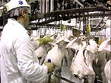Цены на курятину в России за время действия заперта на ввоз мяса птицы из США повысились почти на 10%