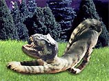 Первый рогатый динозавр был размером с кошку