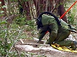 Бомба длиной 120 см, диаметром 36 см и весом 250 кг была обнаружена во время дорожных работ в одном из парков Нахи