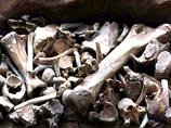 Крупный фрагмент скелета мамонта найден в окрестностях Кривого Рога на Украине