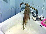 Платить придется по старым расценкам Платить придется по старым расценкам