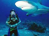 Пляжи с акулами теперь не опасны - людей спасает бипер