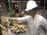 Россия сняла запрет на импорт курятины из США