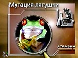 Американцы рискуют стать двуполыми под воздействием химических веществ Американцы рискуют стать двуполыми под воздействием химических веществ