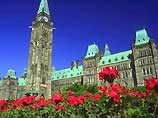 В Канаде наняли "живое пугало" для борьбы с голубями на здании парламента