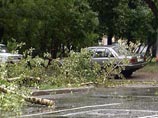 Два человека получили травмы на Комсомольском проспекте в результате падения дерева