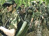 Грузинские спецслужбы сообщают, что в Панкисском ущелье находятся около 800 боевиков
