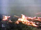 На территории России действуют 367 очагов лесных пожаров