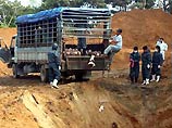 Инцидент зарегистрирован на одной из животноводческих ферм провинции Ансон, где было принято решение об уничтожении всех находящихся на этой ферме 135 коров во избежание распространения эпидемии ящура
