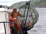 В Мурманской области военные моряки под видом учений ловят рыбу