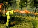40 тысяч га лесов в Колорадо выгорело из-за письма бывшего мужа