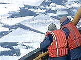 Правительство распорядилось спасти моряков и ученых, блокированных во льдах Антарктики