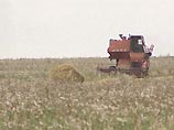 Урожай, по данным Аяцкова, в этом году должен составить от 2,5 до 5 млн. тонн зерна