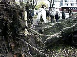 По Калининградской области пронесся ураган