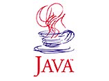 Стандартом для разработки мобильных приложений выбран язык программирования Java, сильно нелюбимый Microsoft за то, что разработан ее конкурентом Sun