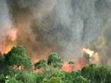 На Камчатку прибыли дальневосточные пожарные для оказания помощи местным борцам с лесными и тундровыми пожарами