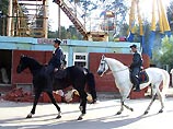 В Одессе начала патрулирование конная экологическая милиция