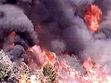 Пламя уже нанесло невосполнимый ущерб лесному массиву огромной площади - 25 тысяч гектаров
