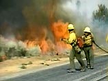 Сильные пожары на Западе США  могут уничтожить уникальный природный заповедник Секойа